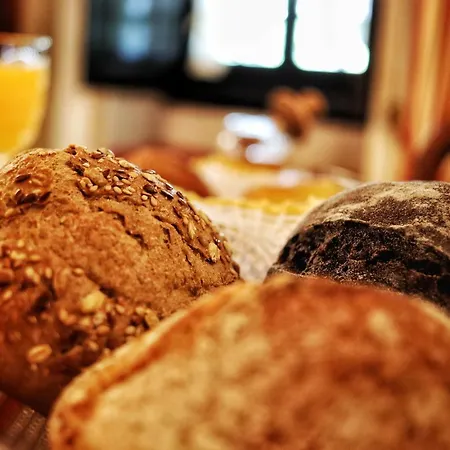 Quinta Do Regalo Farm stay Coimbra