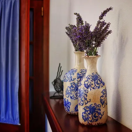 Quinta Do Regalo Farm stay *
