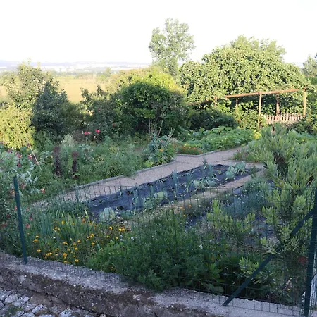 Quinta Do Regalo Коимбра