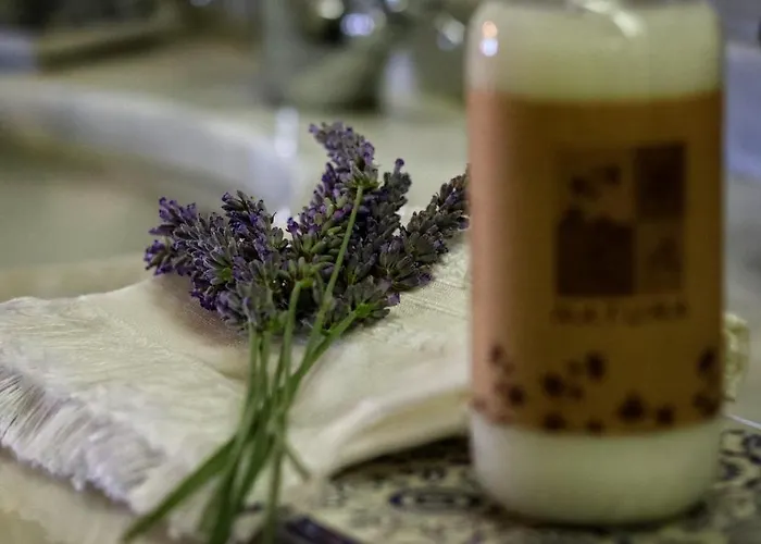 Agroturismo Quinta Do Regalo *