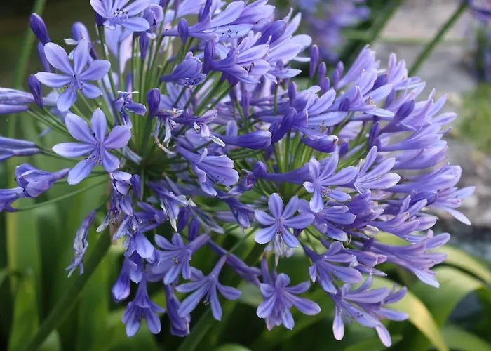 Quinta Do Regalo Coímbra