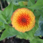 ファームステイ Quinta Do Regalo *