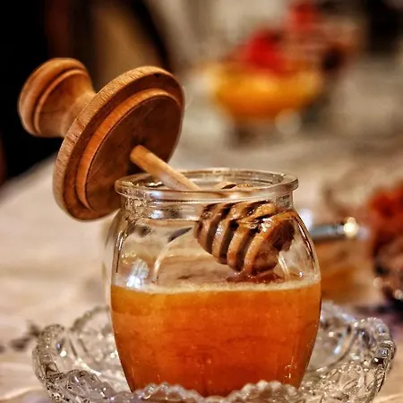 ファームステイ Quinta Do Regalo コインブラ