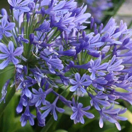 Quinta Do Regalo コインブラ