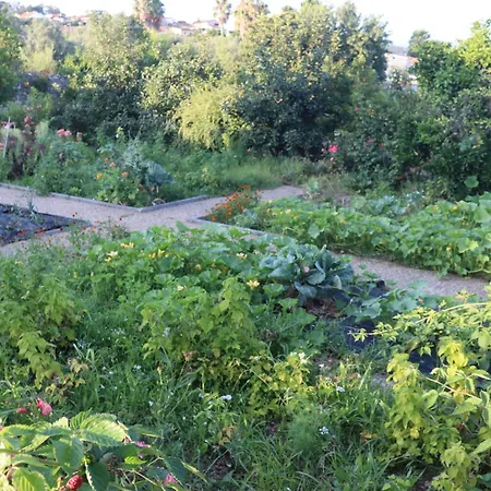 Quinta Do Regalo Coimbra