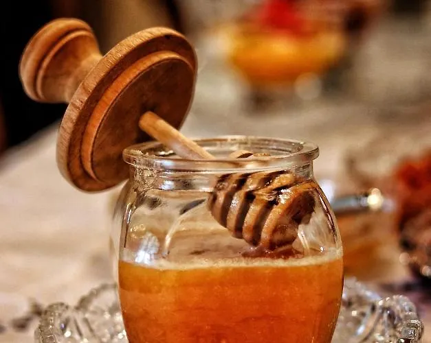 مزرعة للإقامة Quinta Do Regalo كويمبرا