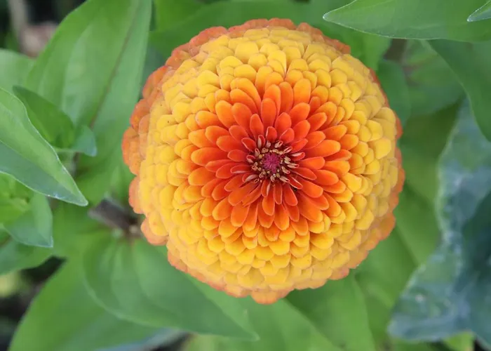 مزرعة للإقامة Quinta Do Regalo *