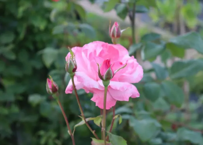 Vakantieboerderij Quinta Do Regalo Coimbra