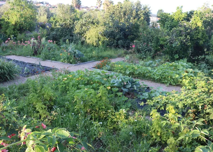 Quinta Do Regalo كويمبرا