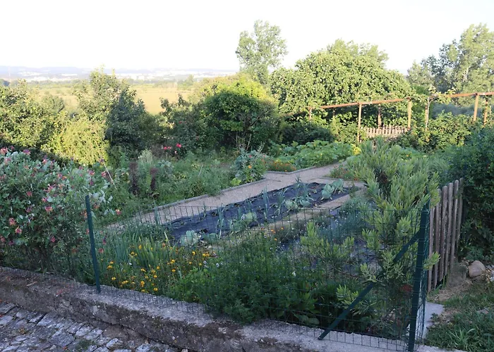 Quinta Do Regalo Coimbra