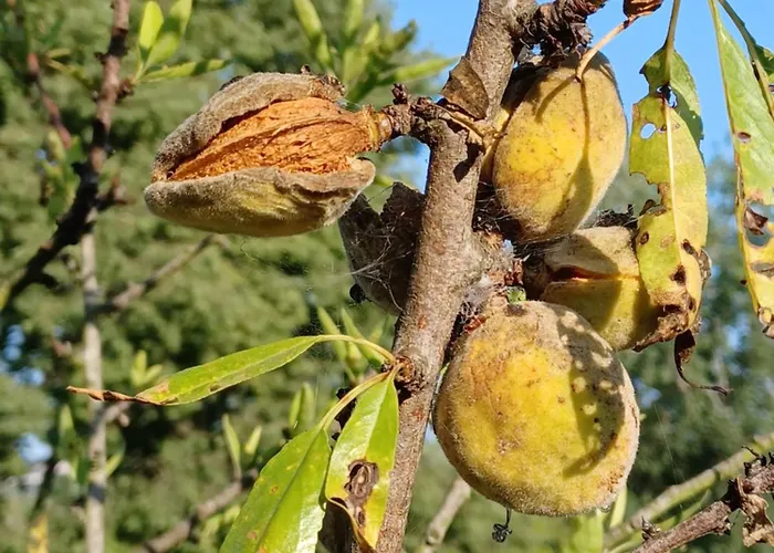 Quinta Do Regalo * Coimbra